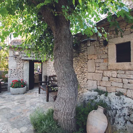 Solaris - Mobilehomes